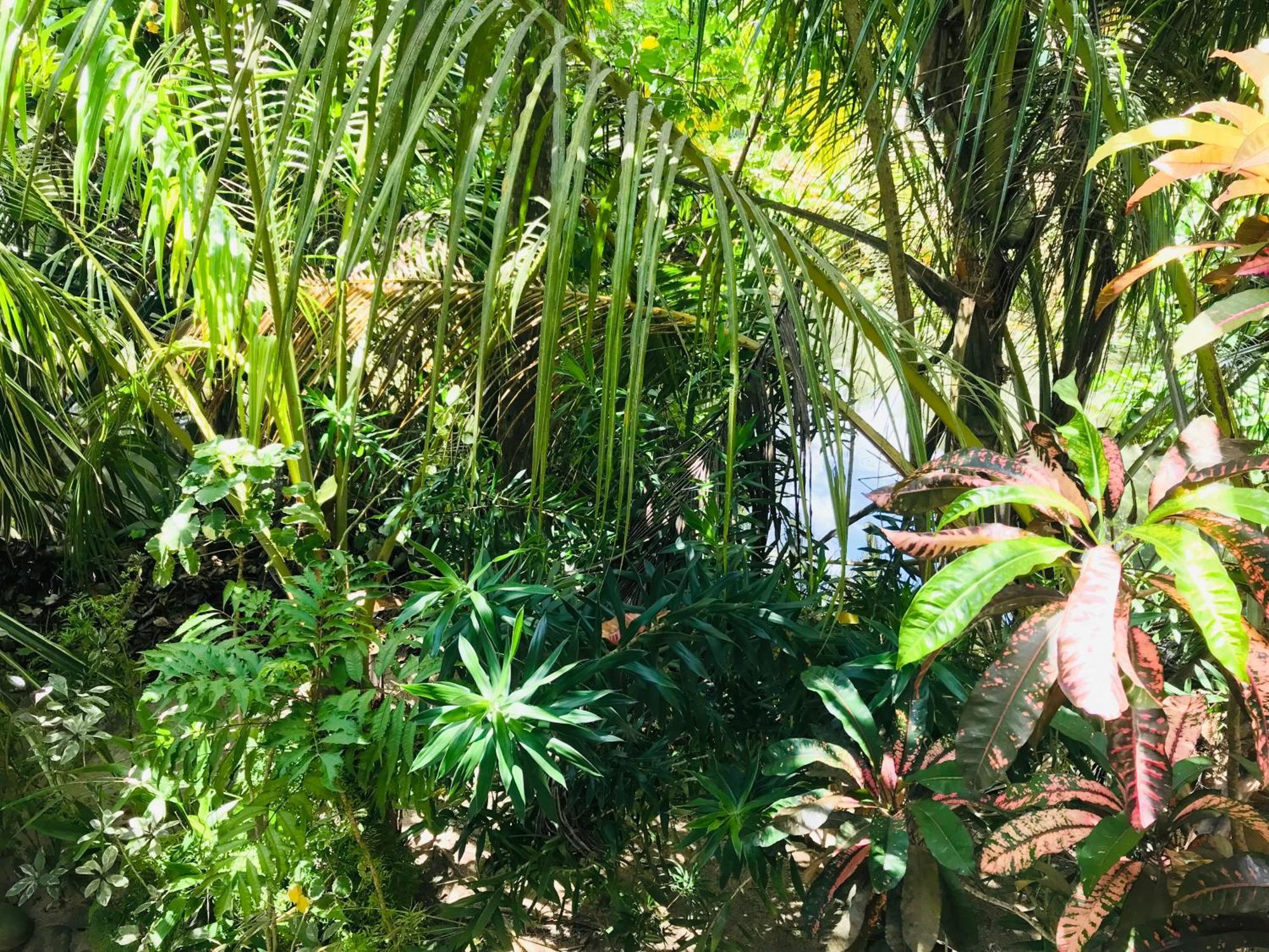 Flora And Fauna Mirissa Ngoại thất bức ảnh