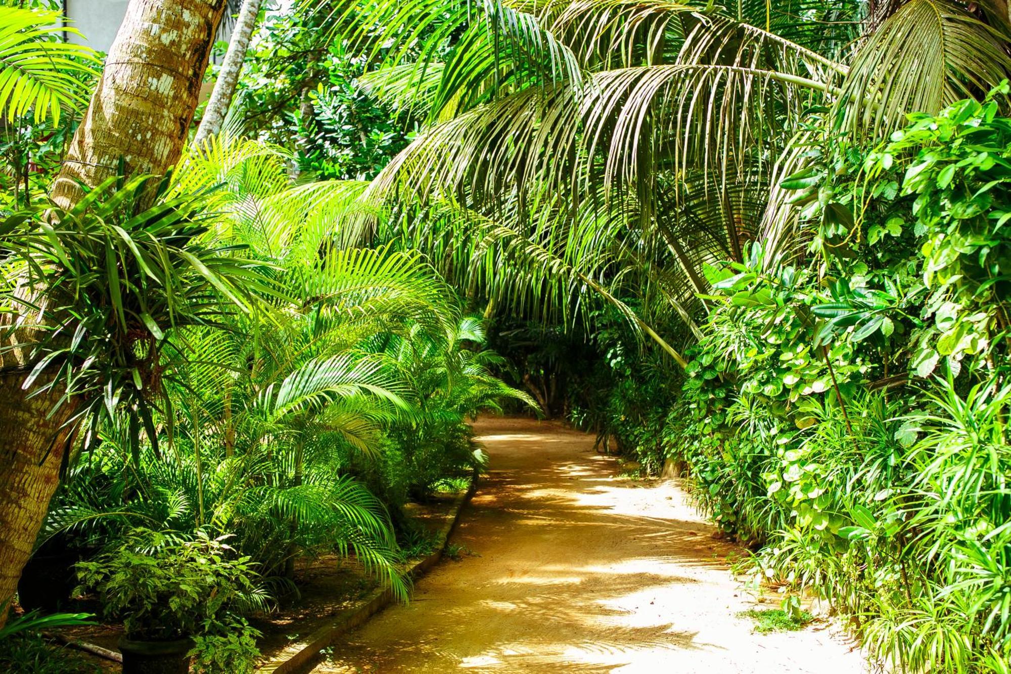 Flora And Fauna Mirissa Ngoại thất bức ảnh