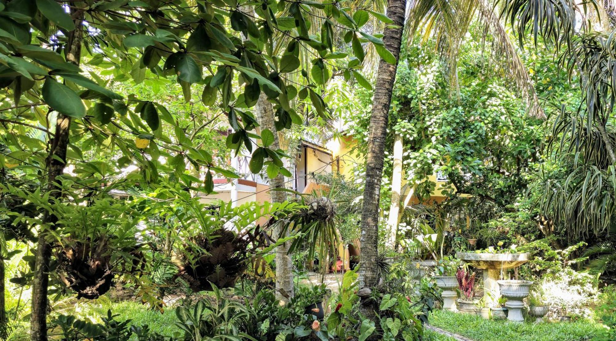 Flora And Fauna Mirissa Ngoại thất bức ảnh