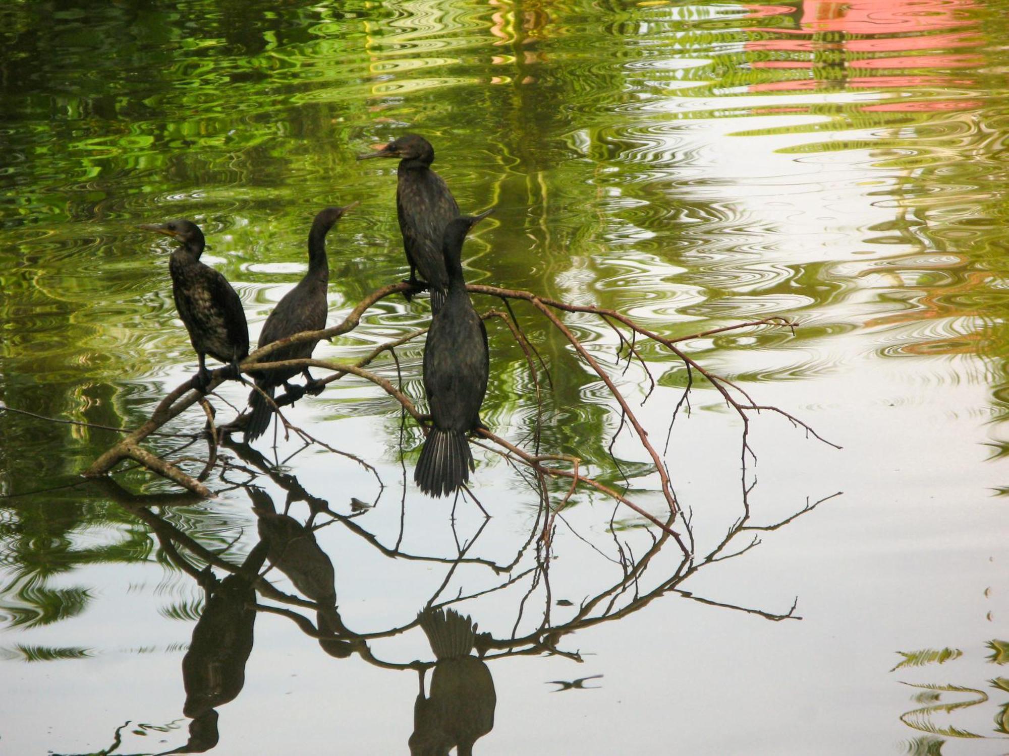 Flora And Fauna Mirissa Ngoại thất bức ảnh