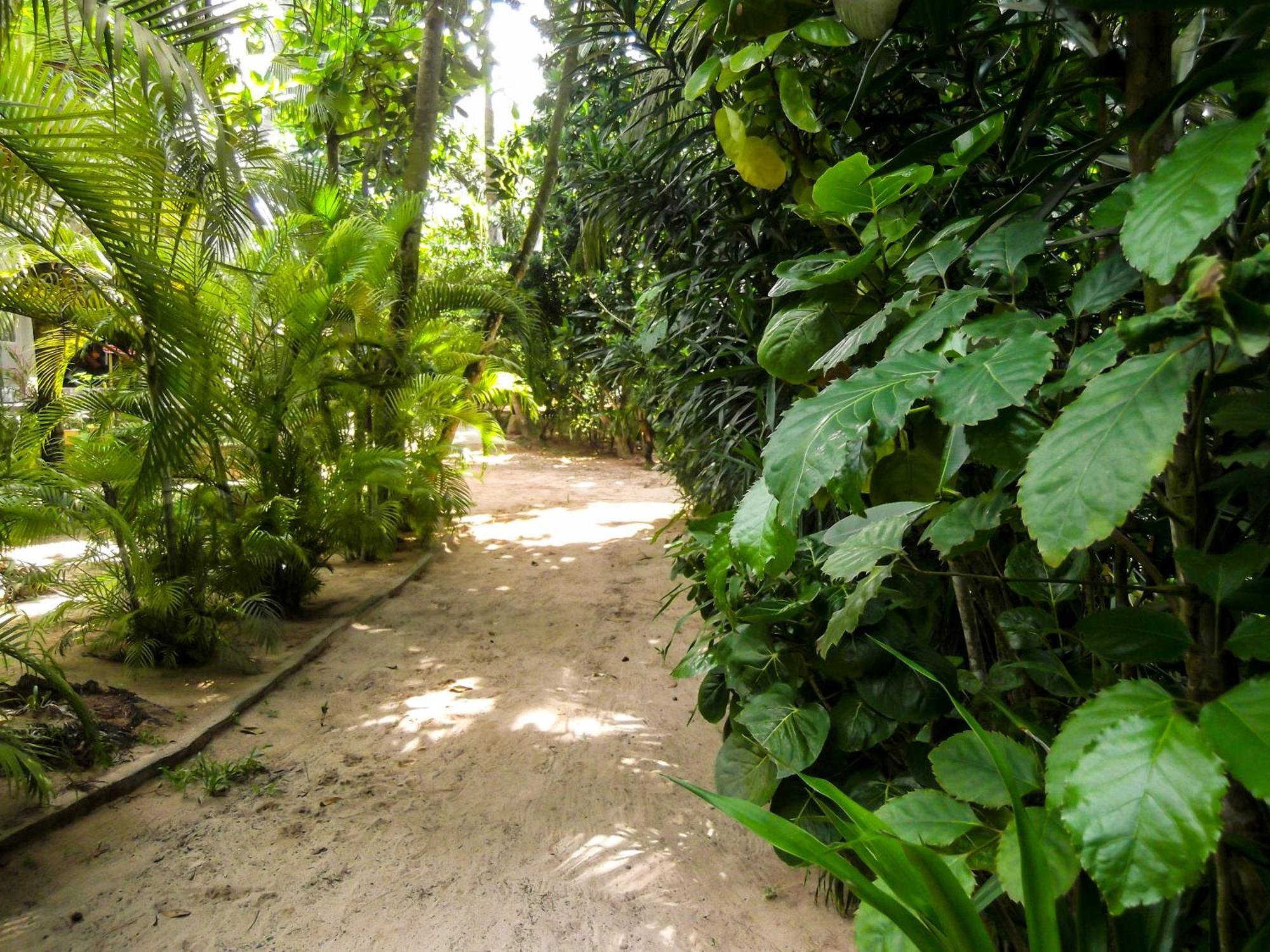 Flora And Fauna Mirissa Ngoại thất bức ảnh