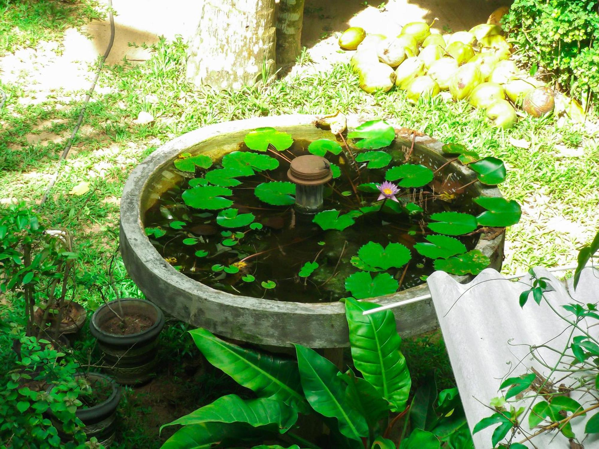 Flora And Fauna Mirissa Ngoại thất bức ảnh