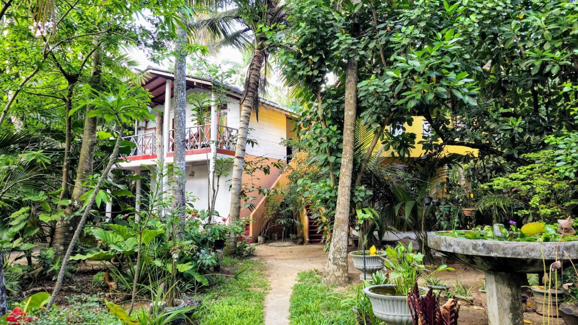 Flora And Fauna Mirissa Phòng bức ảnh