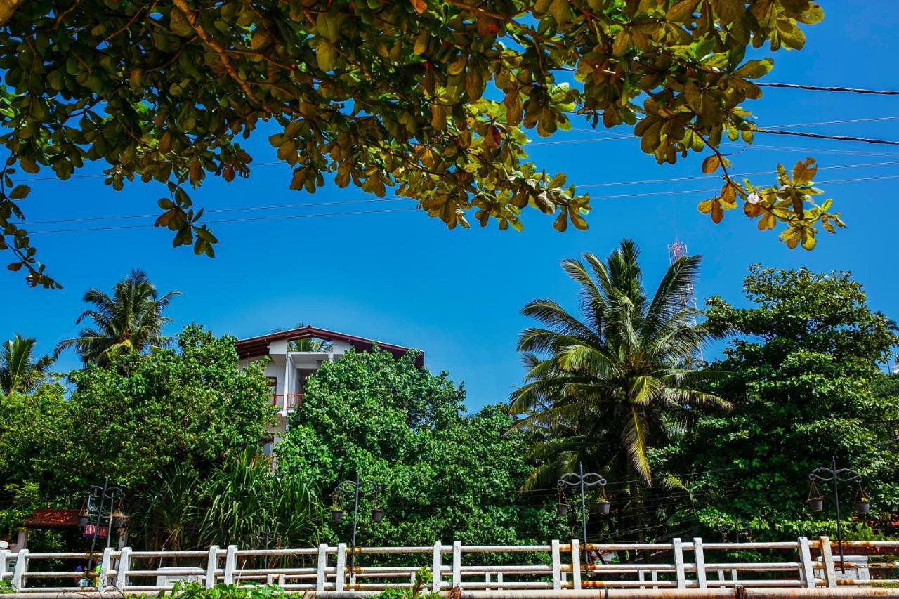 Flora And Fauna Mirissa Ngoại thất bức ảnh
